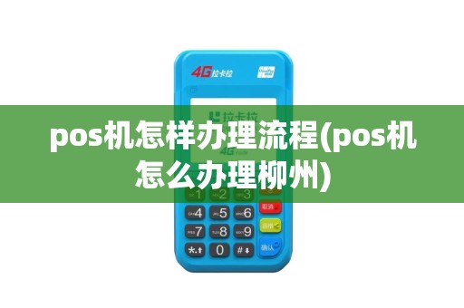 pos机怎样办理流程(pos机怎么办理柳州)