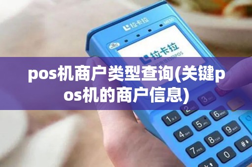pos机商户类型查询(关键pos机的商户信息)