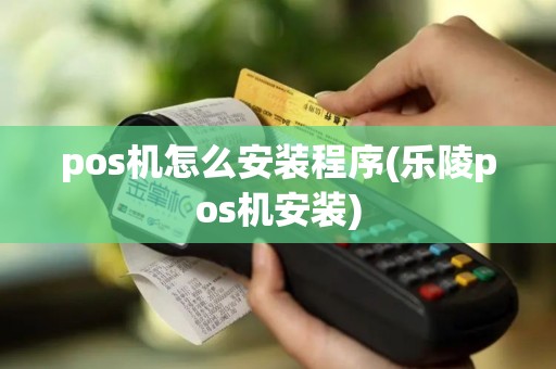 pos机怎么安装程序(乐陵pos机安装)