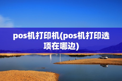 pos机打印机(pos机打印选项在哪边)