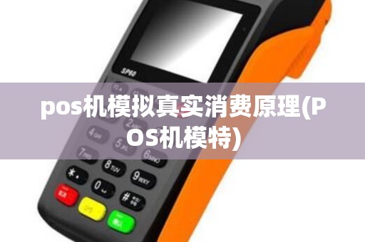 pos机模拟真实消费原理(POS机模特)