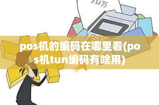 pos机的编码在哪里看(pos机tun编码有啥用)