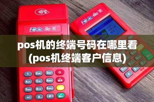 pos机的终端号码在哪里看(pos机终端客户信息)