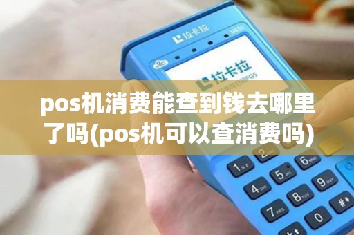 pos机消费能查到钱去哪里了吗(pos机可以查消费吗)
