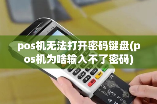 pos机无法打开密码键盘(pos机为啥输入不了密码)