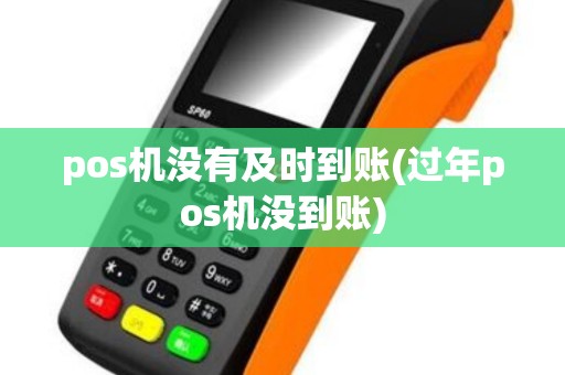 pos机没有及时到账(过年pos机没到账)