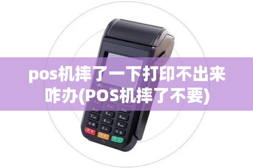pos机摔了一下打印不出来咋办(POS机摔了不要)
