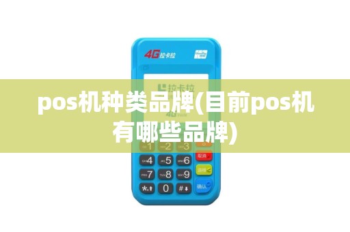 pos机种类品牌(目前pos机有哪些品牌)