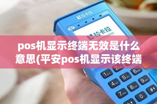 pos机显示终端无效是什么意思(平安pos机显示该终端无效)