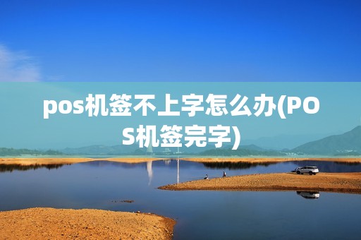 pos机签不上字怎么办(POS机签完字)