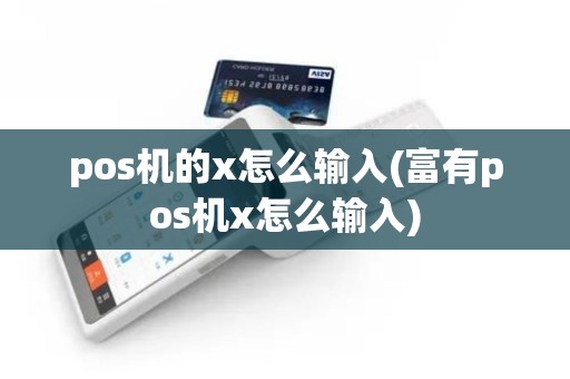 pos机的x怎么输入(富有pos机x怎么输入)