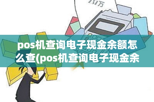 pos机查询电子现金余额怎么查(pos机查询电子现金余额)