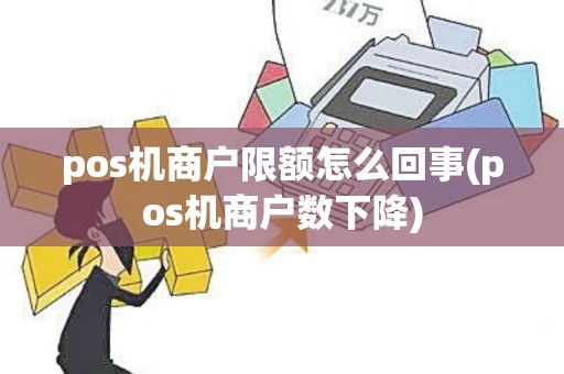 pos机商户限额怎么回事(pos机商户数下降)