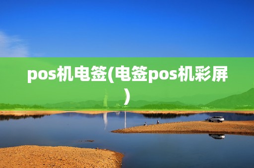 pos机电签(电签pos机彩屏)