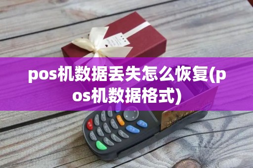pos机数据丢失怎么恢复(pos机数据格式)