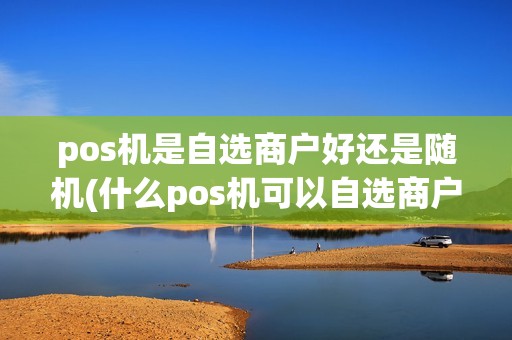 pos机是自选商户好还是随机(什么pos机可以自选商户号)