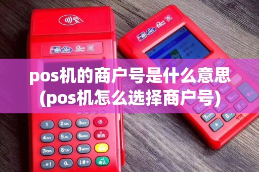 pos机的商户号是什么意思(pos机怎么选择商户号)