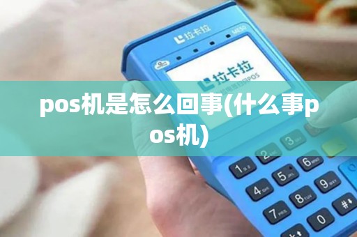 pos机是怎么回事(什么事pos机)