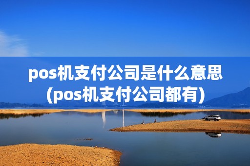 pos机支付公司是什么意思(pos机支付公司都有)