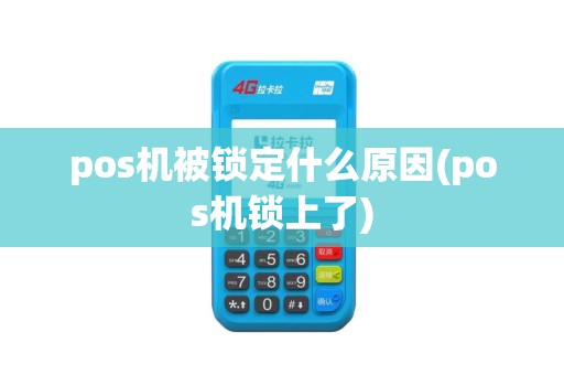pos机被锁定什么原因(pos机锁上了)