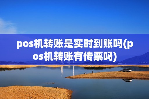 pos机转账是实时到账吗(pos机转账有传票吗)
