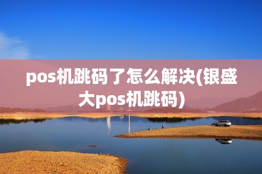 pos机跳码了怎么解决(银盛大pos机跳码)