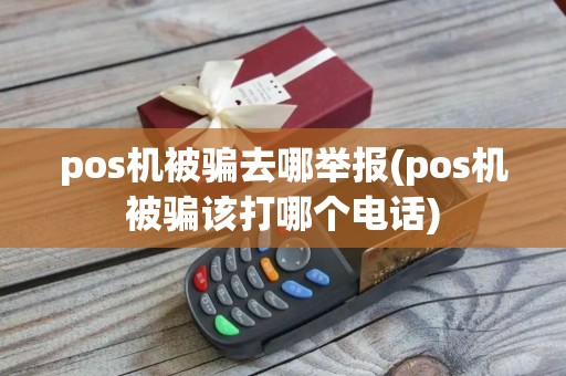 pos机被骗去哪举报(pos机被骗该打哪个电话)