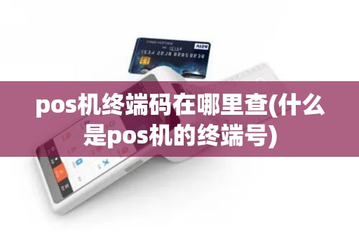 pos机终端码在哪里查(什么是pos机的终端号)