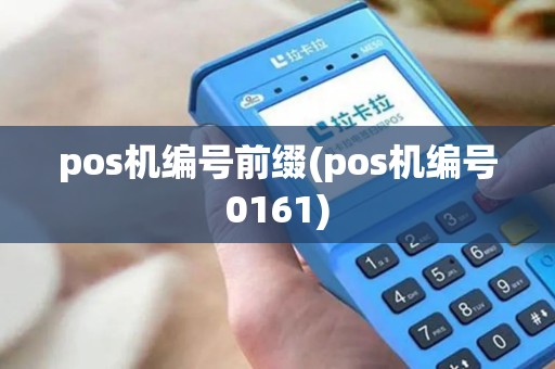 pos机编号前缀(pos机编号0161)