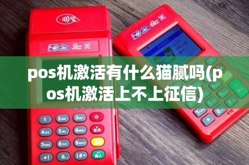 pos机激活有什么猫腻吗(pos机激活上不上征信)