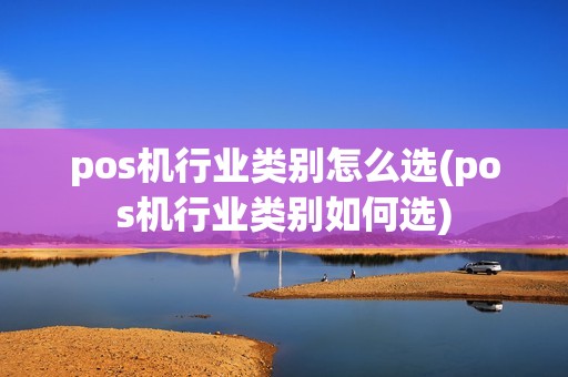 pos机行业类别怎么选(pos机行业类别如何选)