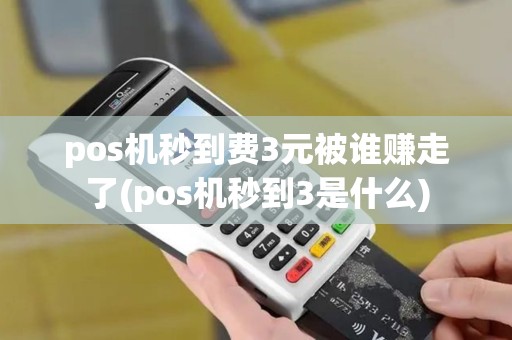 pos机秒到费3元被谁赚走了(pos机秒到3是什么)