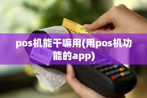 pos机能干嘛用(用pos机功能的app)