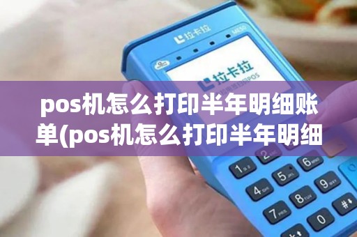 pos机怎么打印半年明细账单(pos机怎么打印半年明细)