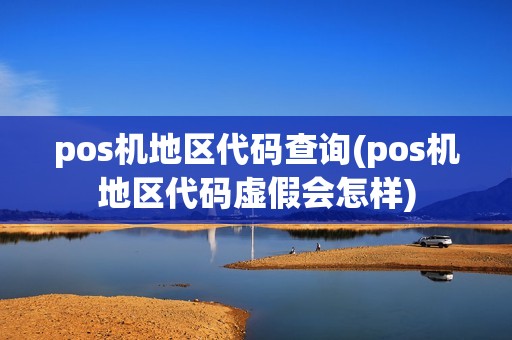 pos机地区代码查询(pos机地区代码虚假会怎样)