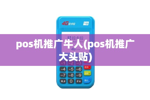 pos机推广牛人(pos机推广大头贴)