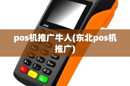 pos机推广牛人(东北pos机推广)