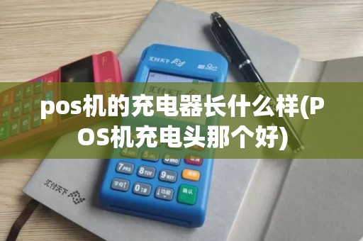 pos机的充电器长什么样(POS机充电头那个好)