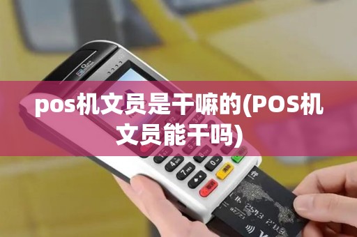 pos机文员是干嘛的(POS机文员能干吗)