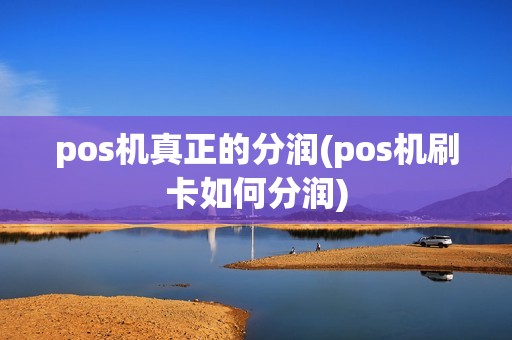 pos机真正的分润(pos机刷卡如何分润)