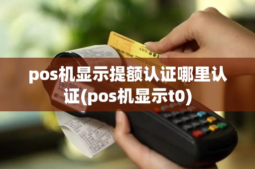 pos机显示提额认证哪里认证(pos机显示t0)