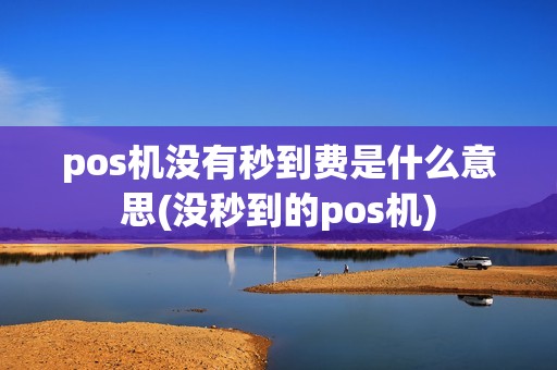 pos机没有秒到费是什么意思(没秒到的pos机)