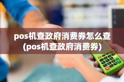 pos机查政府消费券怎么查(pos机查政府消费券)