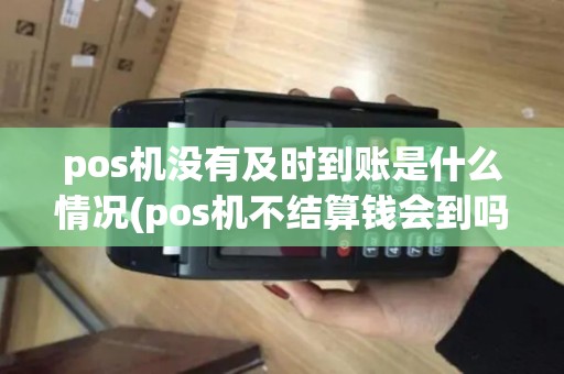 pos机没有及时到账是什么情况(pos机不结算钱会到吗)