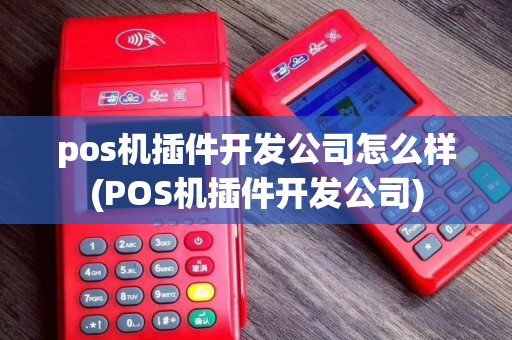 pos机插件开发公司怎么样(POS机插件开发公司)