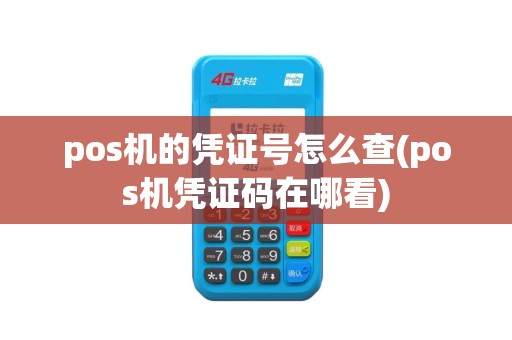 pos机的凭证号怎么查(pos机凭证码在哪看)