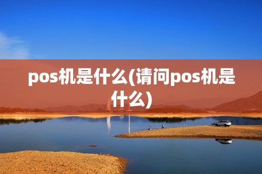 pos机是什么(请问pos机是什么)