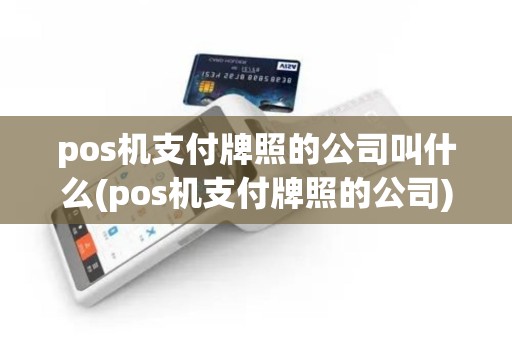 pos机支付牌照的公司叫什么(pos机支付牌照的公司)