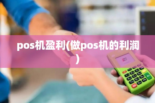 pos机盈利(做pos机的利润)