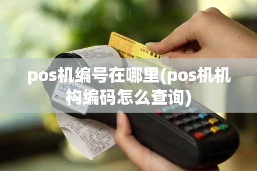 pos机编号在哪里(pos机机构编码怎么查询)